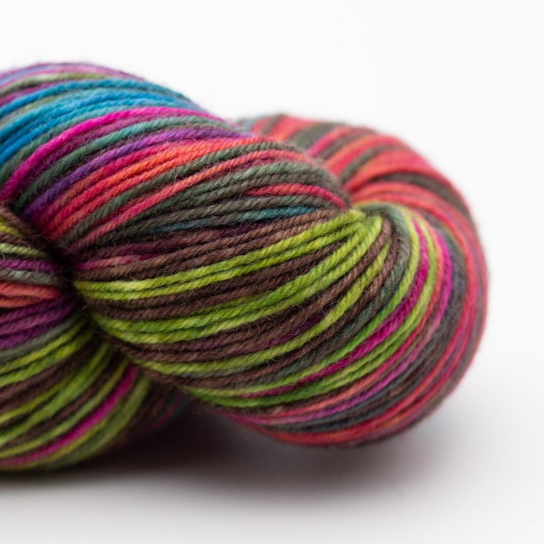 écheveau de laine à chaussettes Lazy Lion, multicolore, marque Kremke coloris flower bed (rose, vert et bleu)