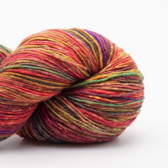 écheveau de laine à chaussettes Lazy Lion, multicolore, marque Kremke coloris brittas favorite (rose, vert, jaune, gris)