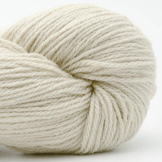 écheveau de fil à tricoter Bio Balance de BC GARN coloris 01 natural white