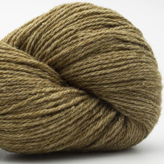 écheveau de fil à tricoter Bio Balance de BC GARN coloris 06 moss