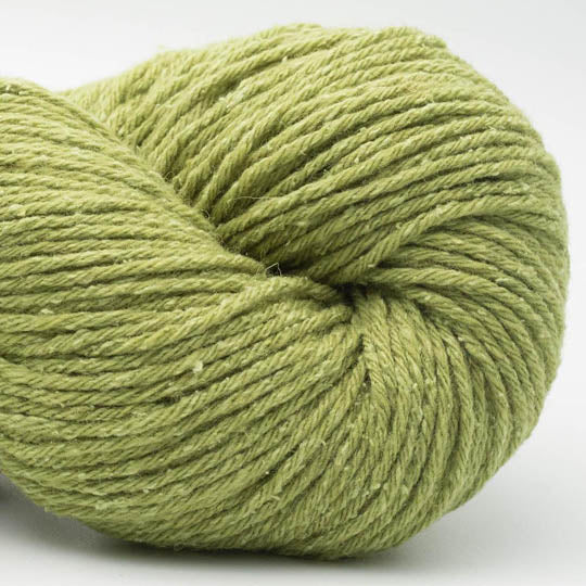 écheveau de fil à tricoter Northern Lights GOTS de BC GARN en laine et soie, coloris 14 pistachio