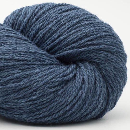 écheveau de fil à tricoter Bio Balance de BC GARN coloris 27 marine