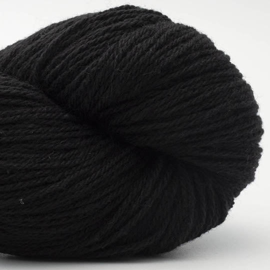 écheveau de fil à tricoter Bio Balance de BC GARN coloris 30 black