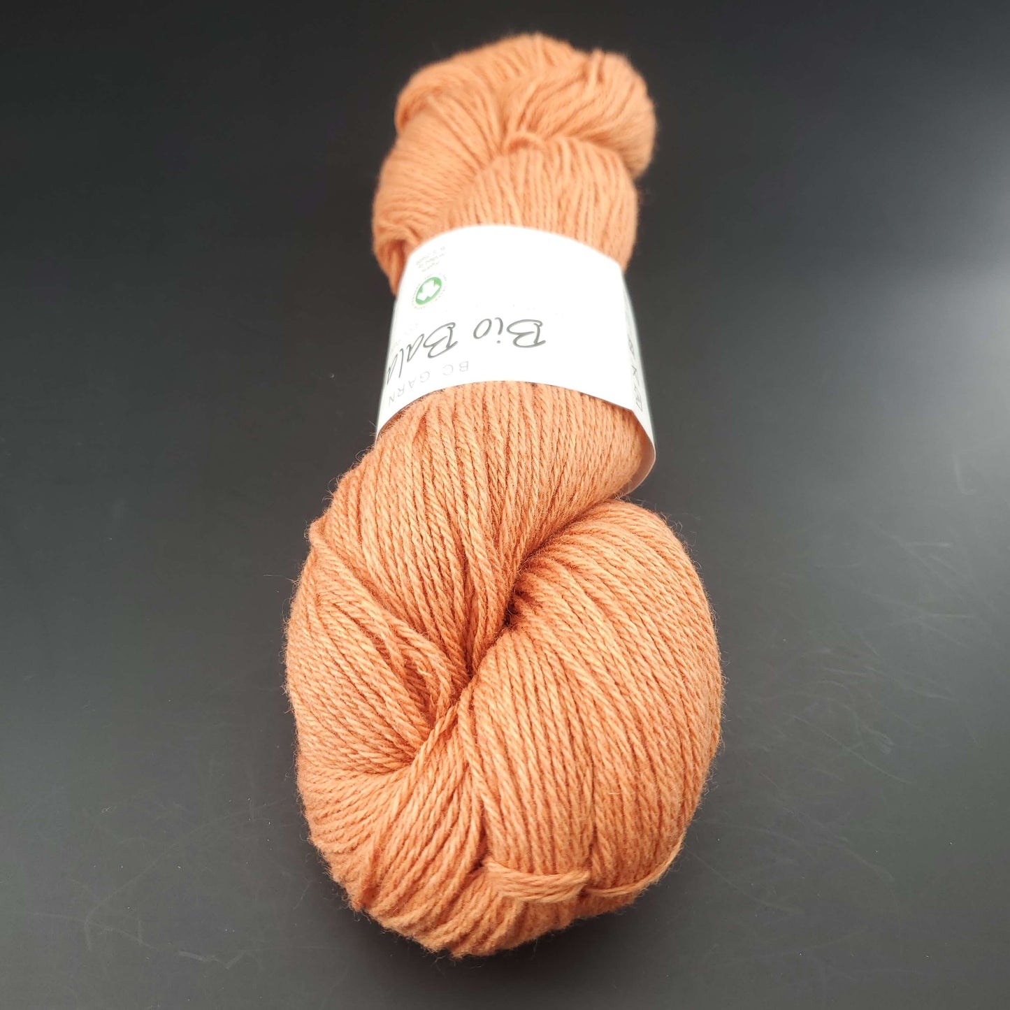 écheveau de fil à tricoter Bio Balance de BC GARN coloris 01 natural white sur fond noir