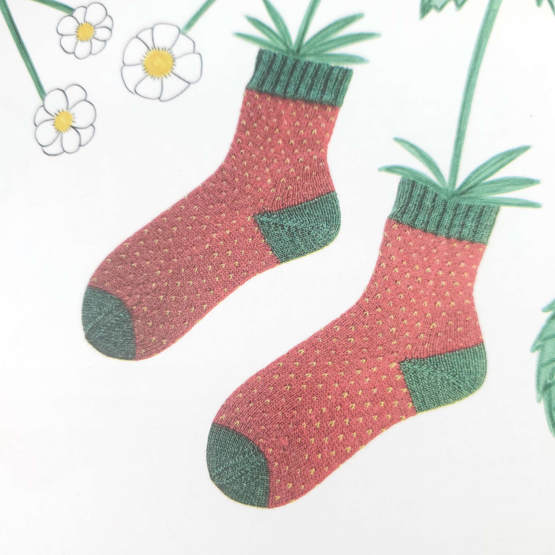 modele de chaussettes fraises de fruity socks de kremke