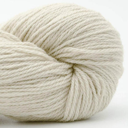 écheveau de fil à tricoter Bio Balance de BC GARN coloris 01 natural white 